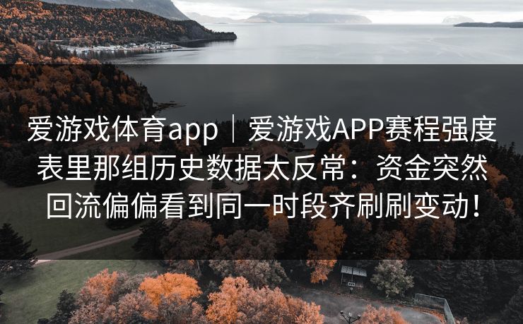 爱游戏体育app｜爱游戏APP赛程强度表里那组历史数据太反常：资金突然回流偏偏看到同一时段齐刷刷变动！