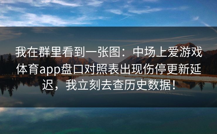 我在群里看到一张图：中场上爱游戏体育app盘口对照表出现伤停更新延迟，我立刻去查历史数据！